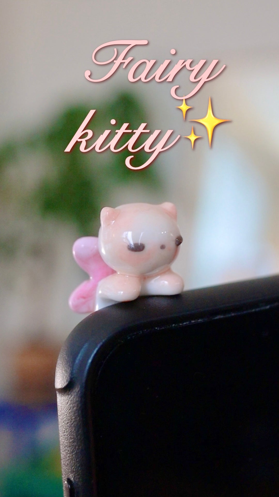 Kitty phone hippers! (30 day challenge)