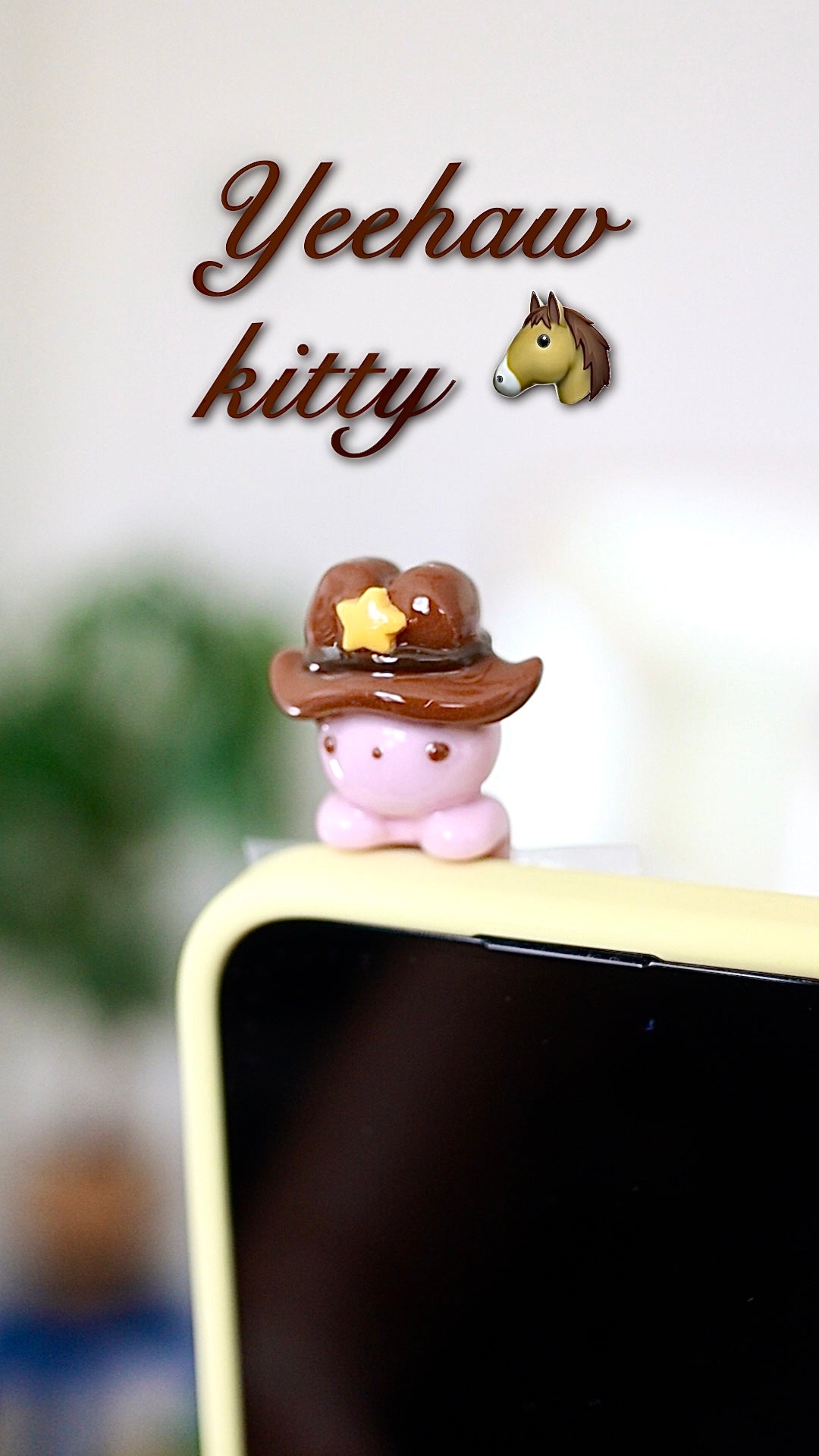 Kitty phone hippers! (30 day challenge)