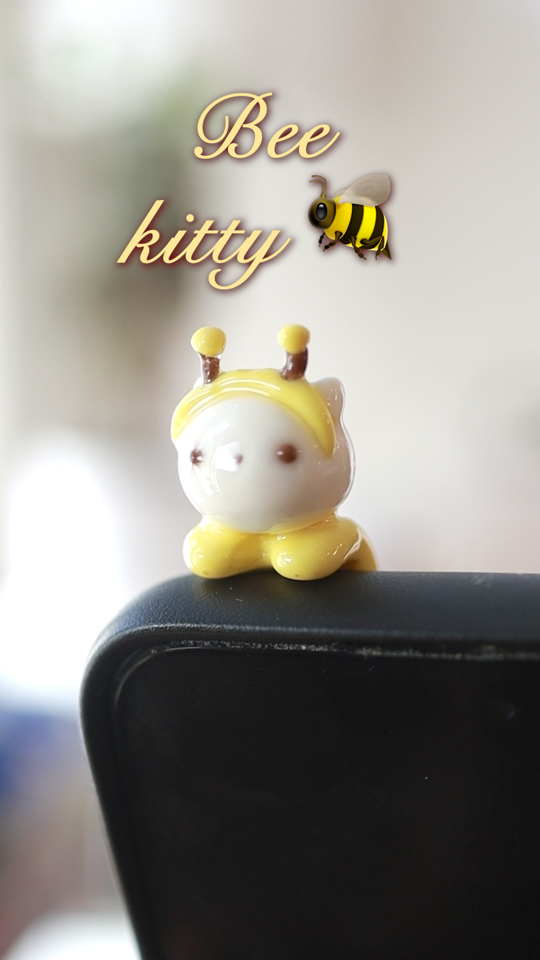 Kitty phone hippers! (30 day challenge)