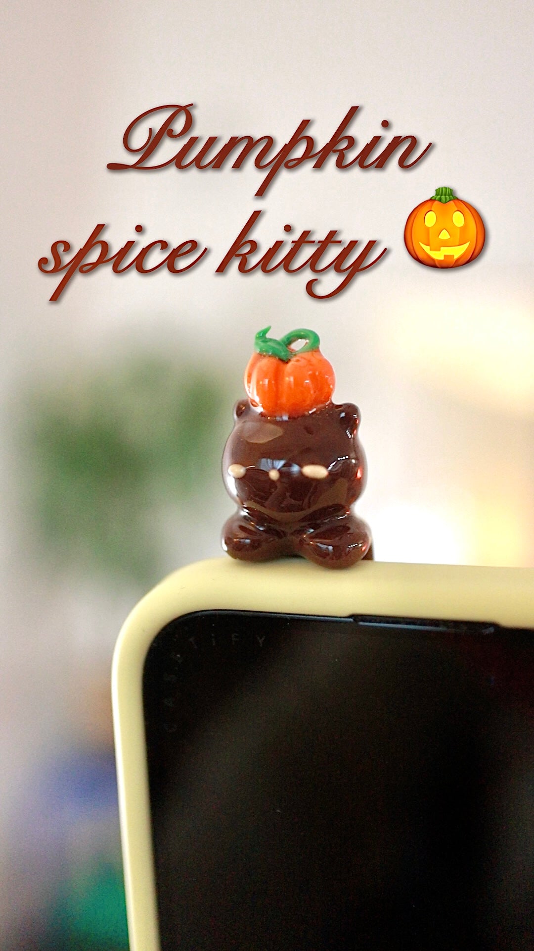 Kitty phone hippers! (30 day challenge)