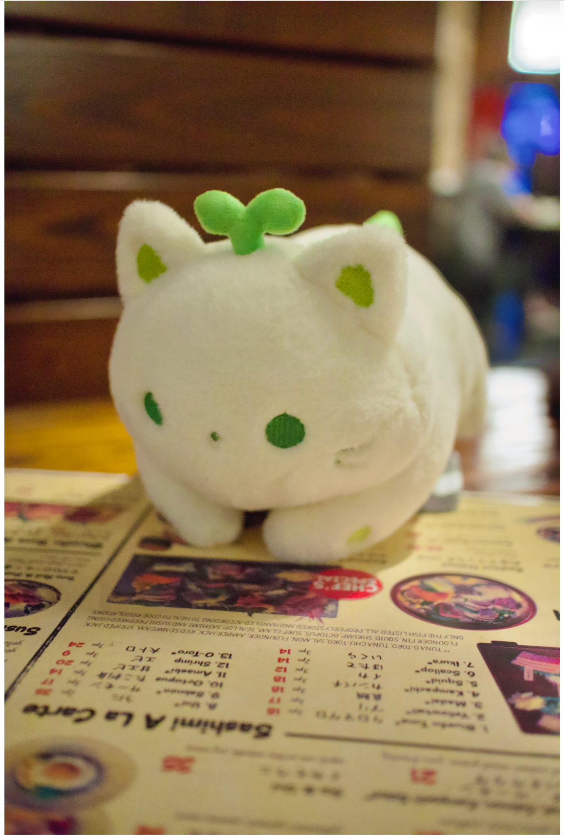 HANAMI PREORDER 9/12
