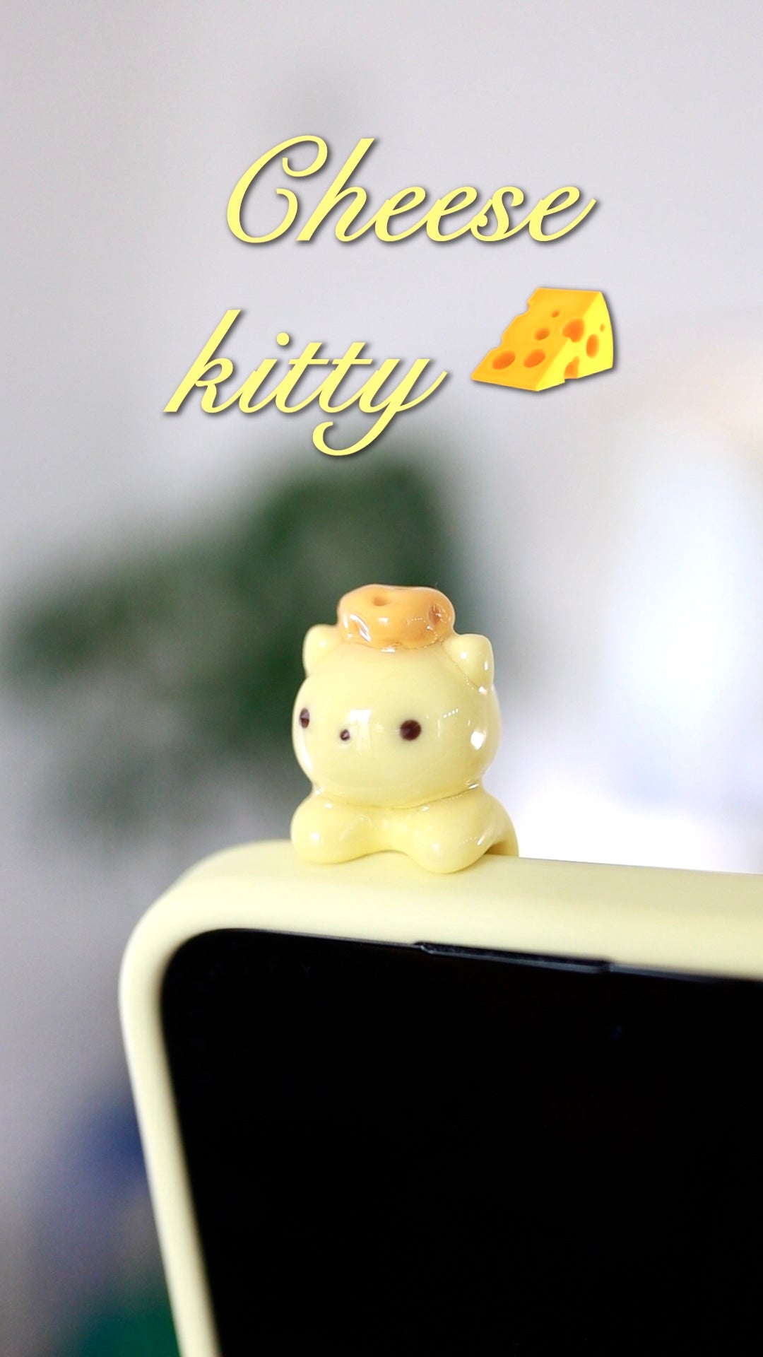 Kitty phone hippers! (30 day challenge)