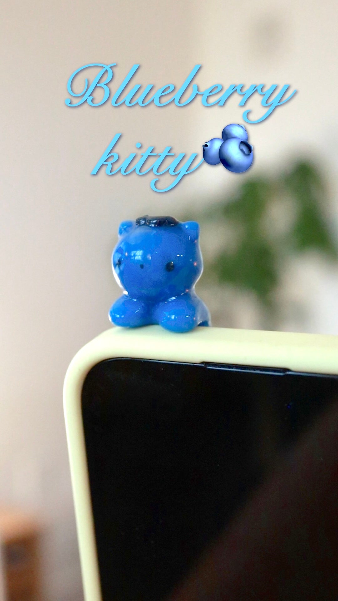 Kitty phone hippers! (30 day challenge)