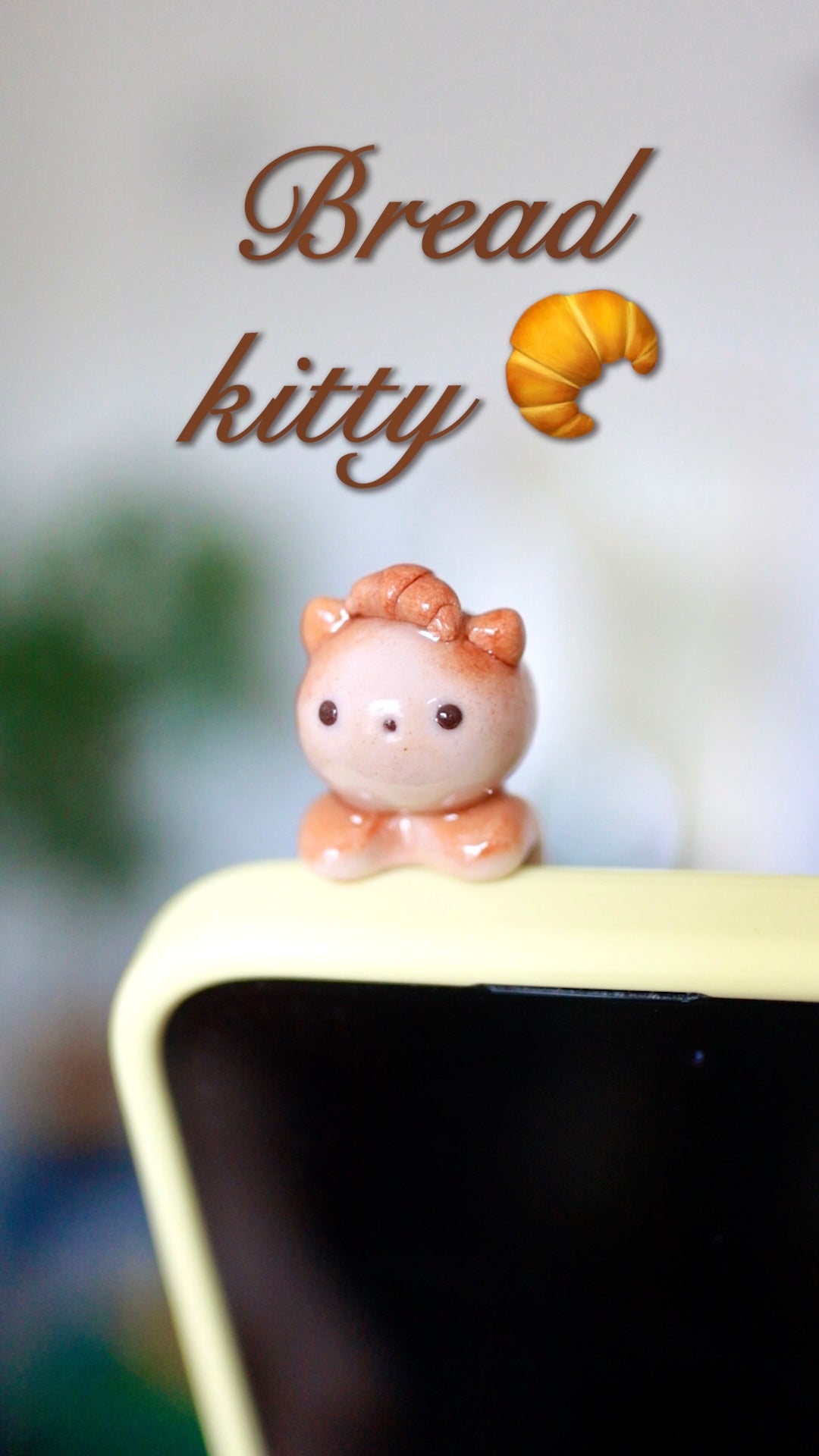 Kitty phone hippers! (30 day challenge)