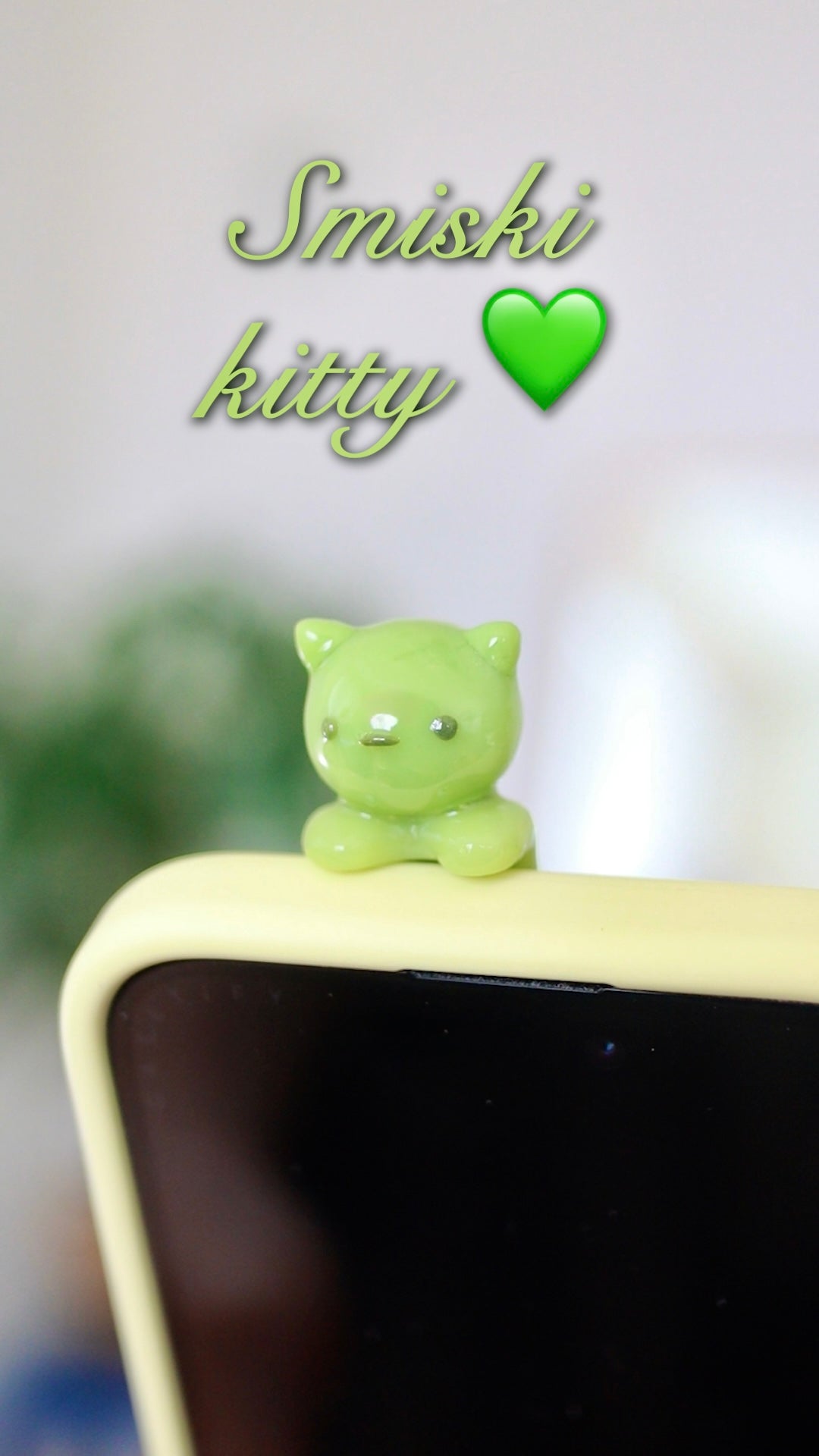 Kitty phone hippers! (30 day challenge)