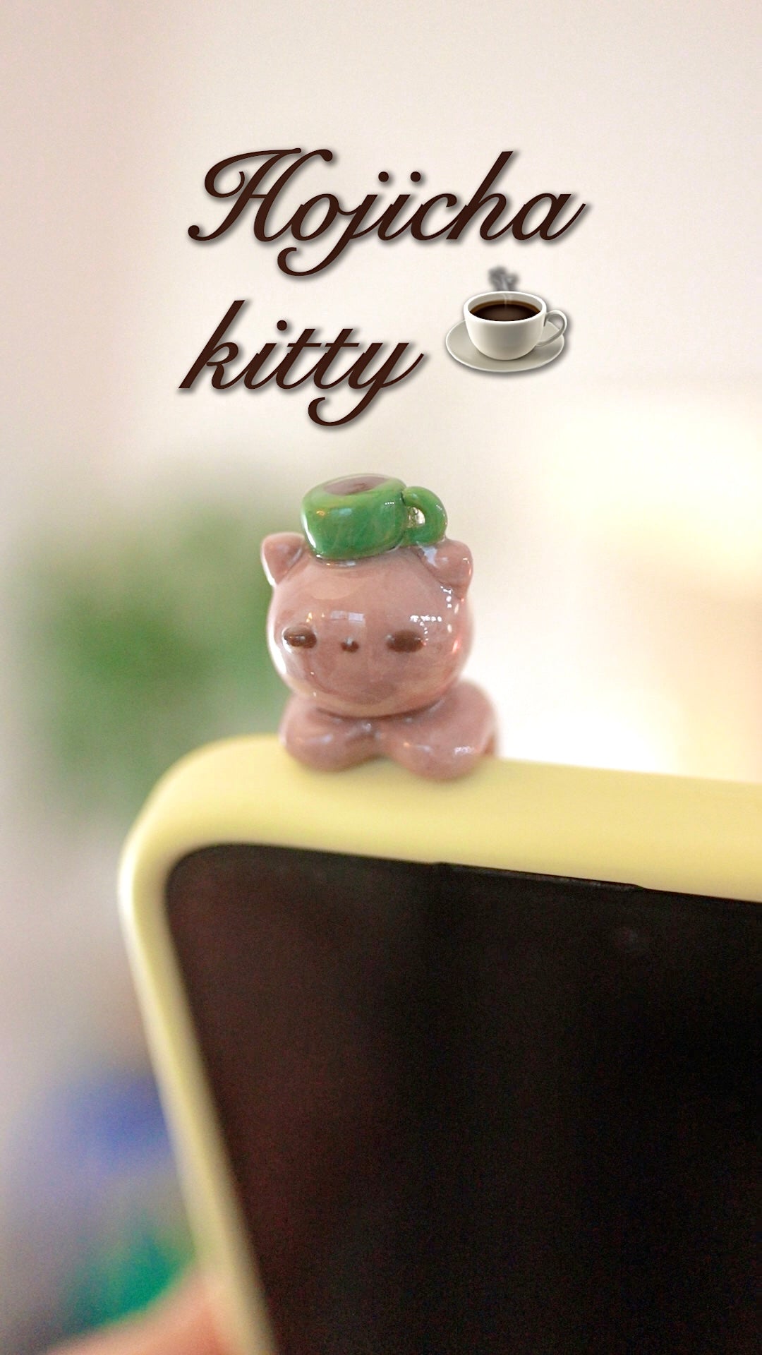 Kitty phone hippers! (30 day challenge)