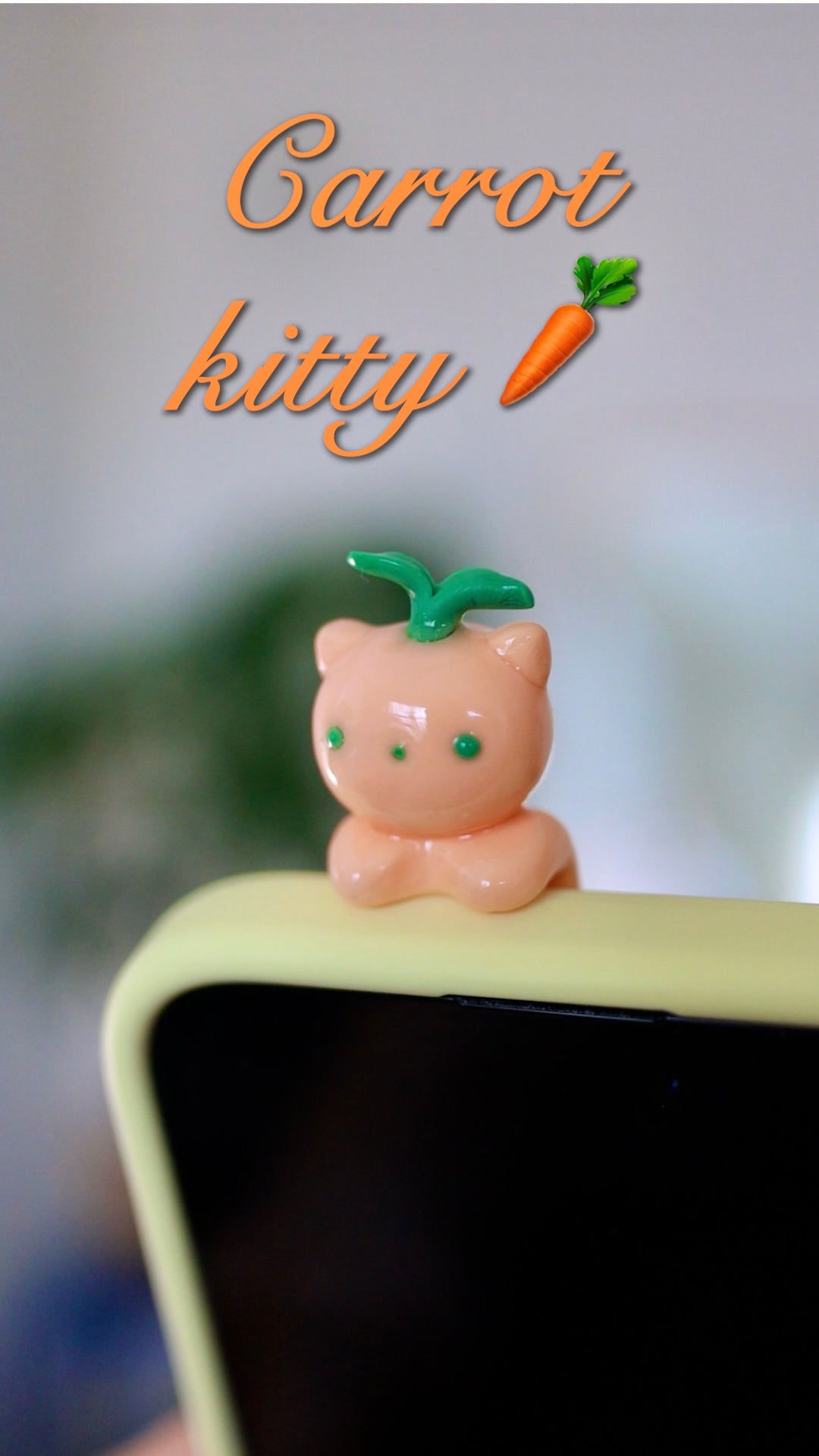Kitty phone hippers! (30 day challenge)
