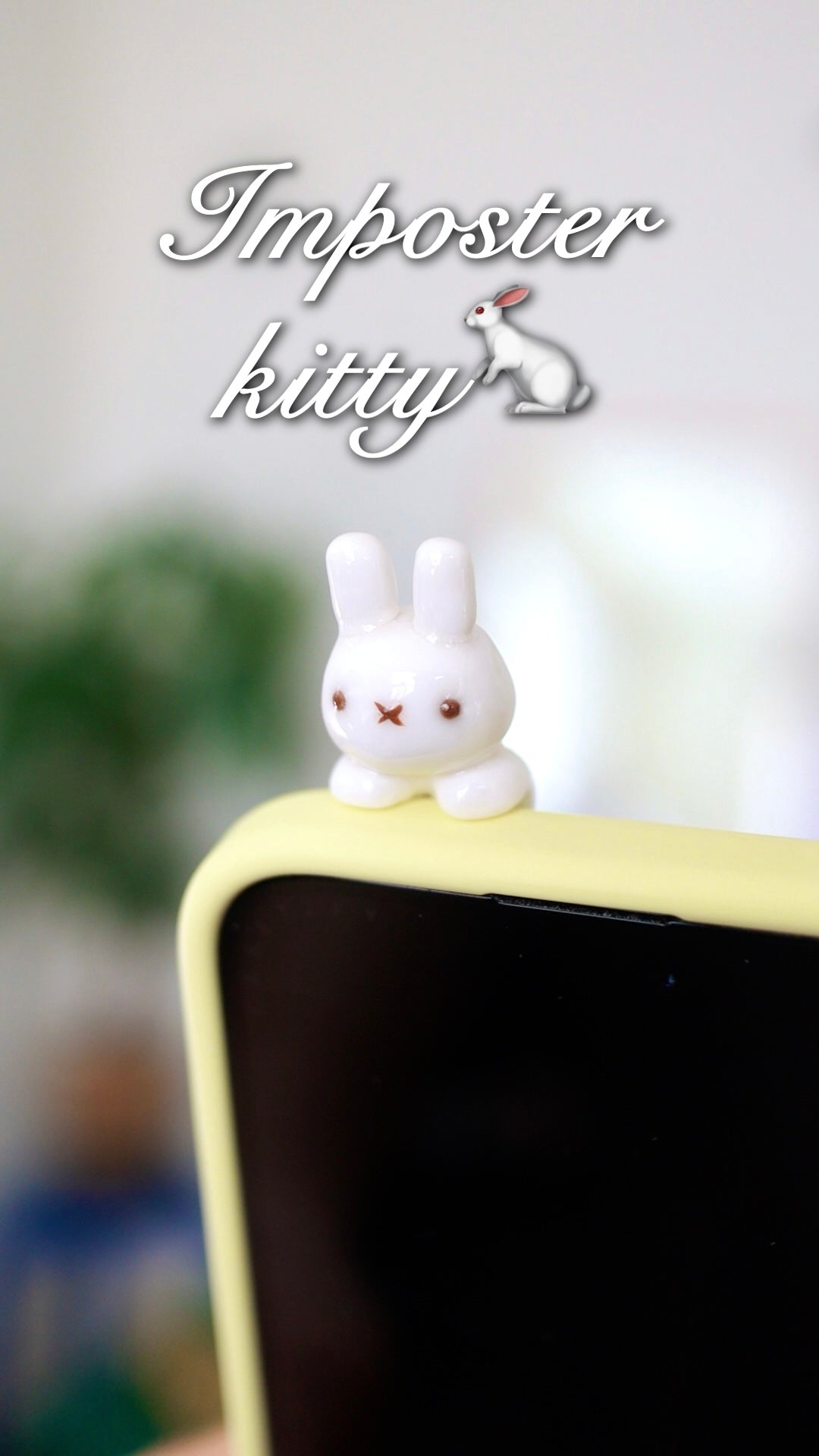 Kitty phone hippers! (30 day challenge)