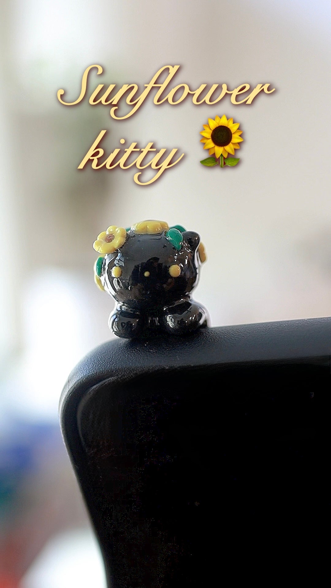 Kitty phone hippers! (30 day challenge)
