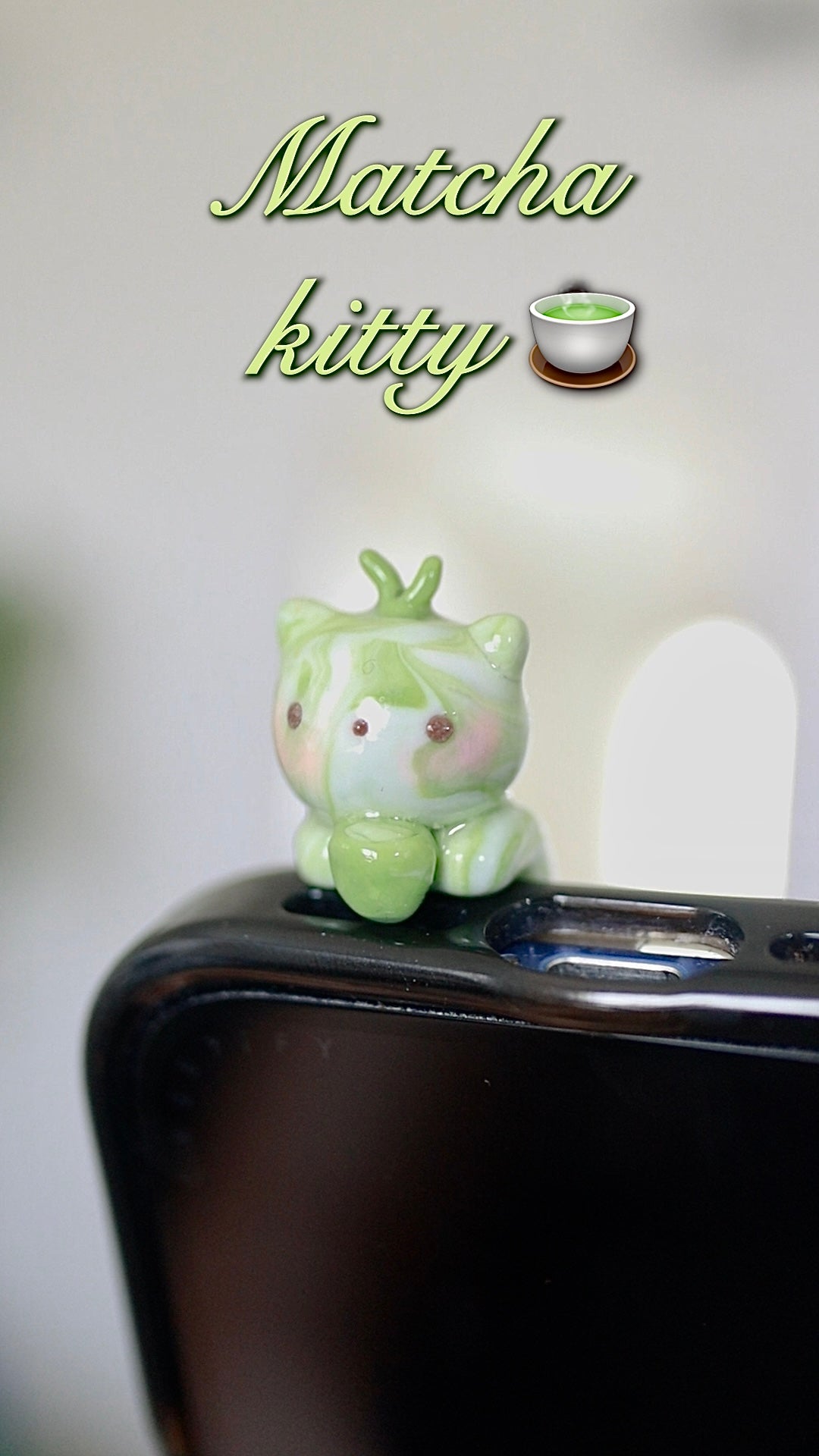 Kitty phone hippers! (30 day challenge)