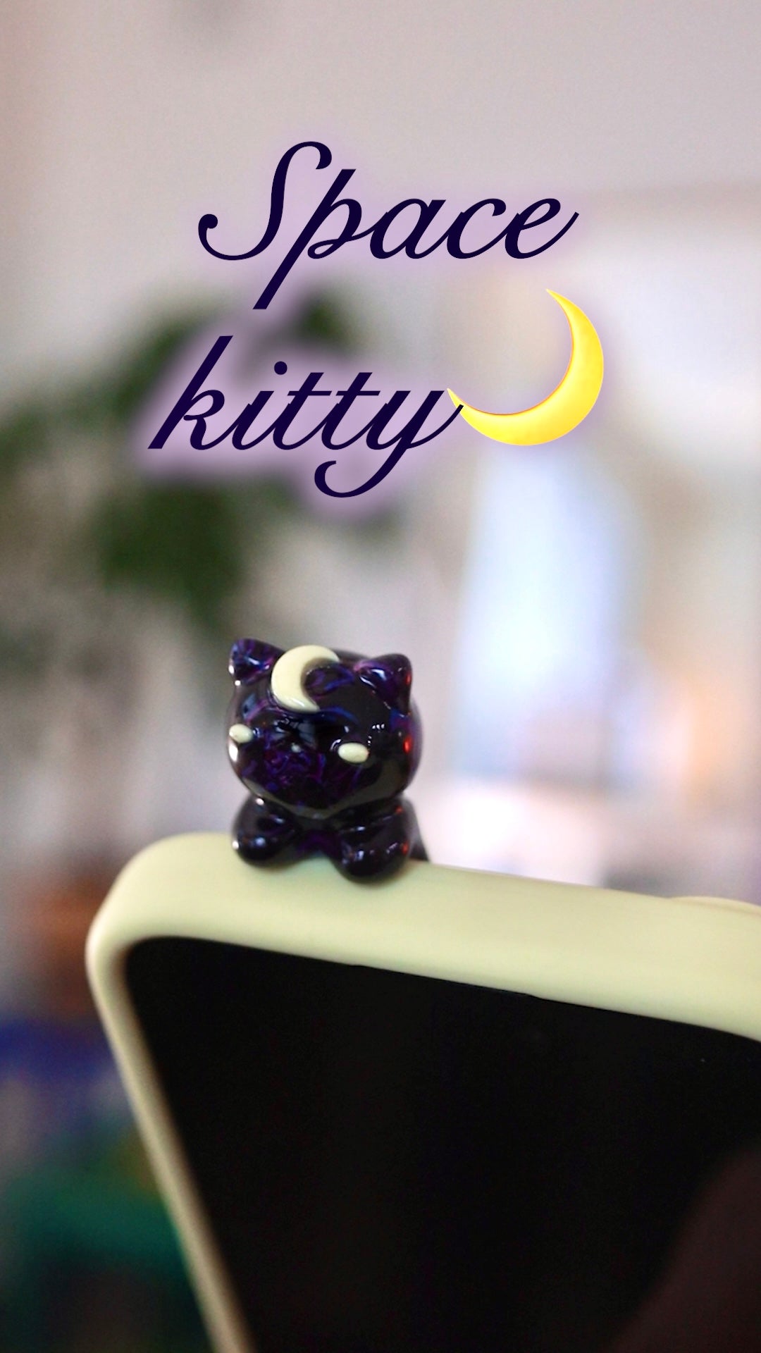 Kitty phone hippers! (30 day challenge)