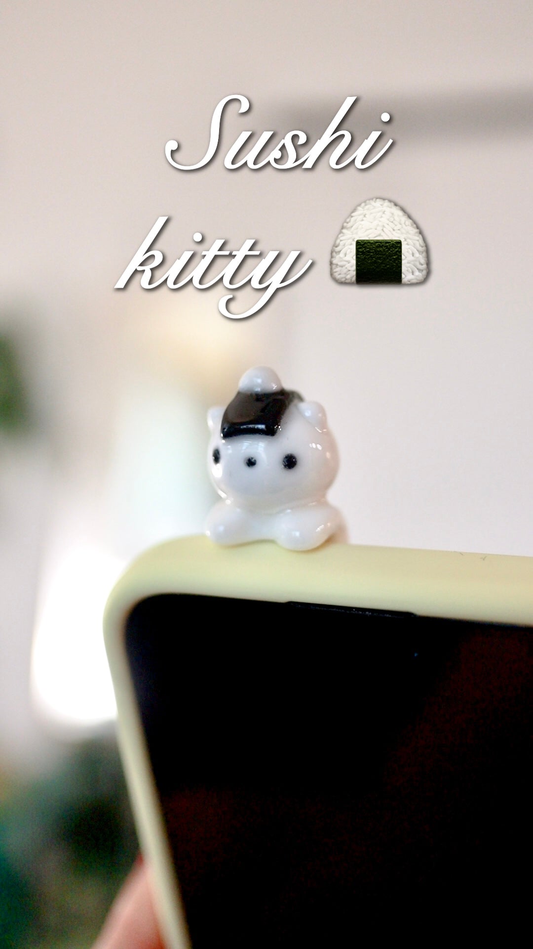 Kitty phone hippers! (30 day challenge)