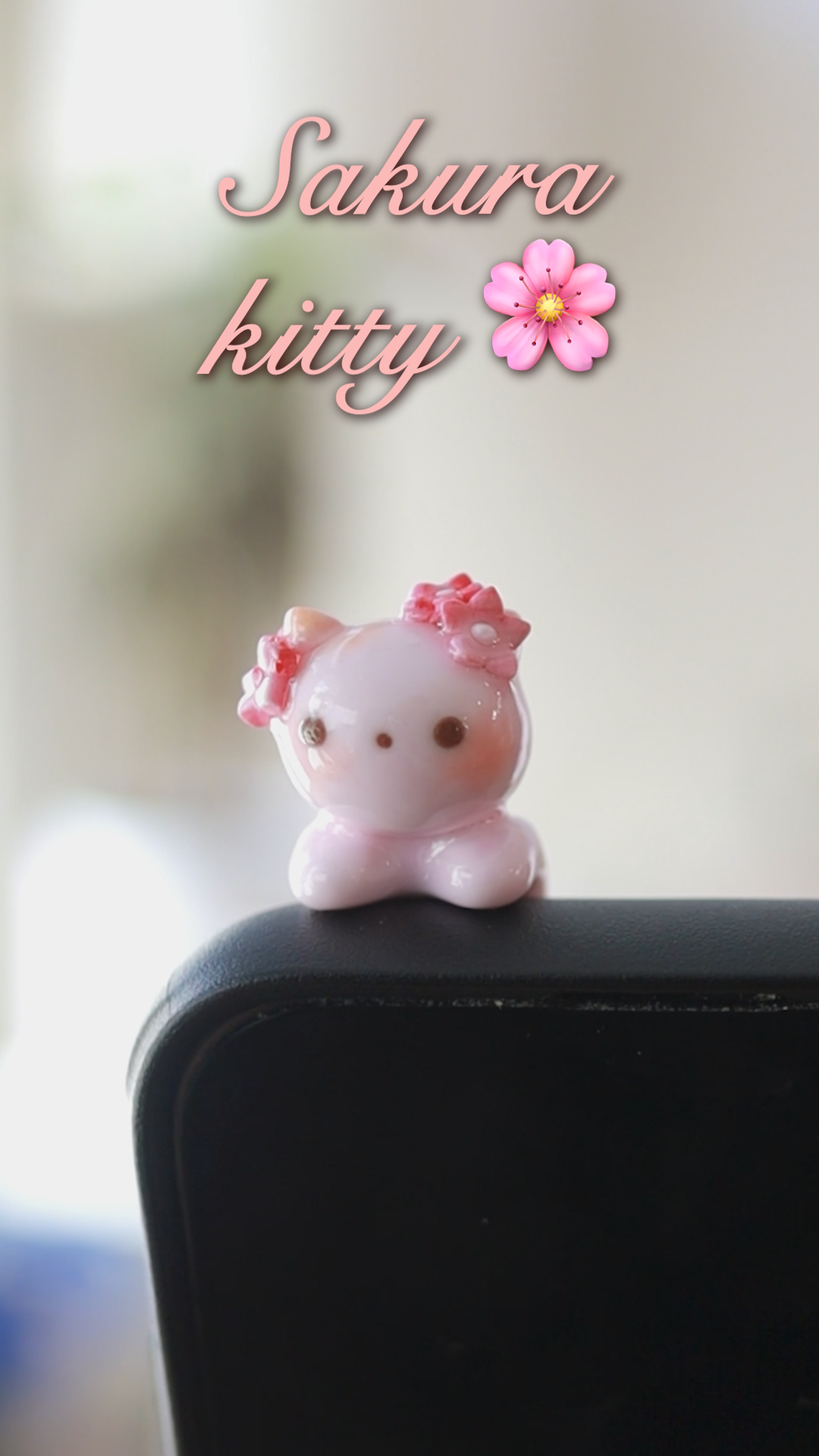 Kitty phone hippers! (30 day challenge)