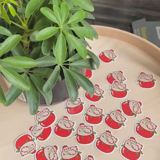 Cute Chicken Tomato Sticker | Chicken Sticker | Chicken Sitting On Tomato | Tomato Stickers | Cute Animal Stickers | Cute chicken sticker