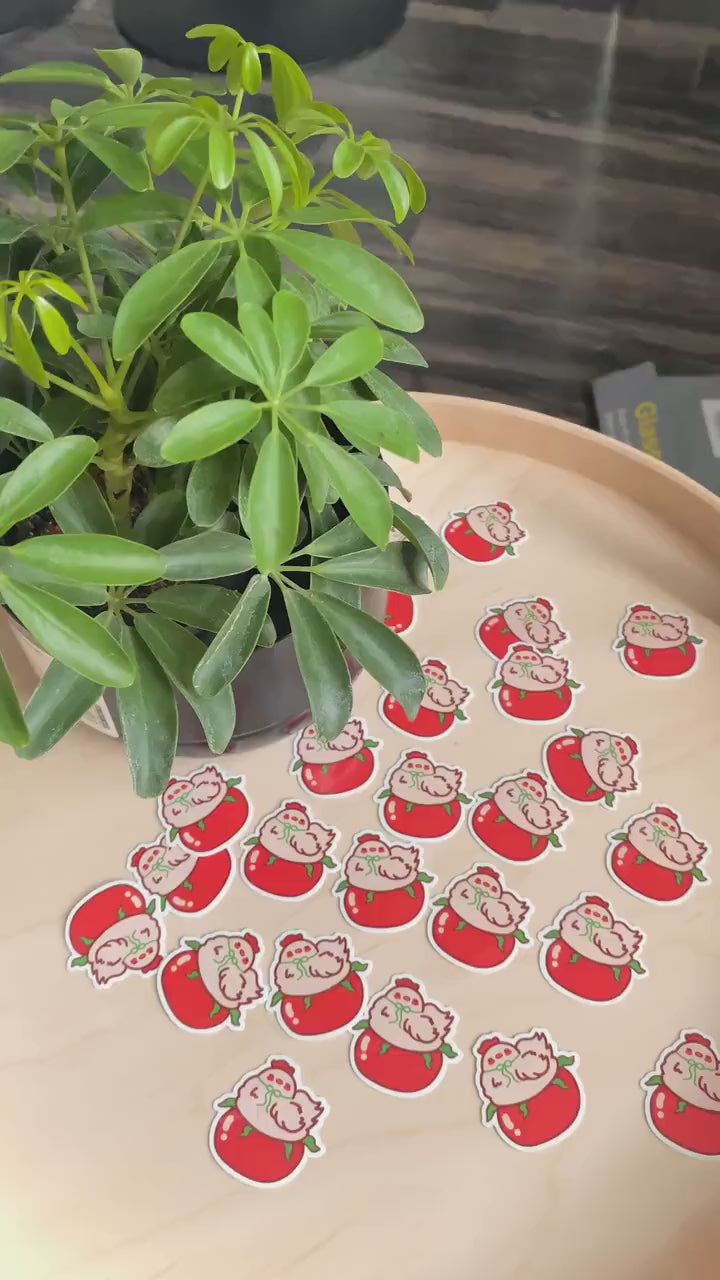 Cute Chicken Tomato Sticker | Chicken Sticker | Chicken Sitting On Tomato | Tomato Stickers | Cute Animal Stickers | Cute chicken sticker