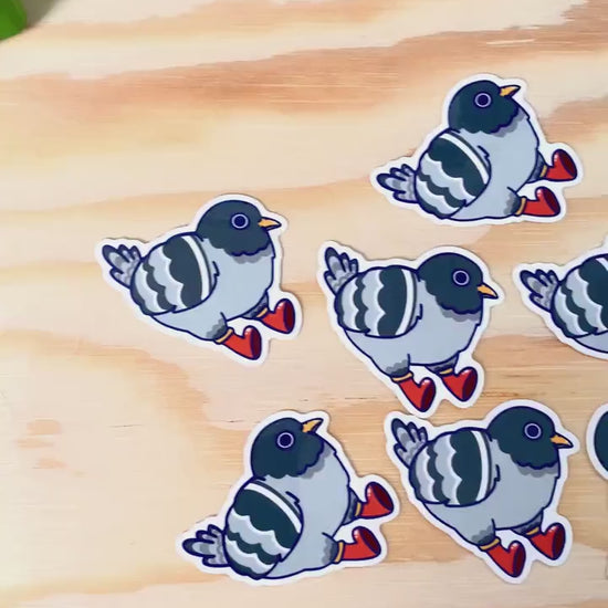Anxious Pigeon Sticker| Pigeon Stickers | Bird Sticker | Funny Animal Stickers | Laptop Sticker | Vinyl Sticker | Water bottle Sticker