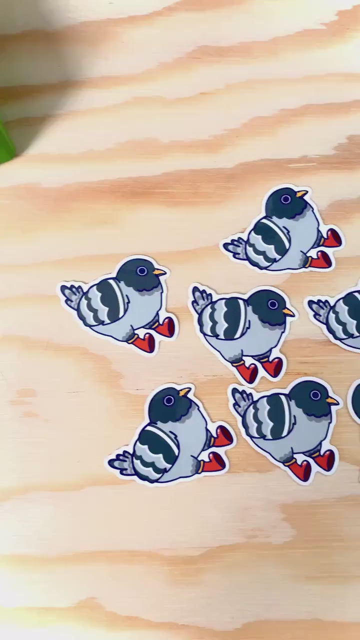 Anxious Pigeon Sticker| Pigeon Stickers | Bird Sticker | Funny Animal Stickers | Laptop Sticker | Vinyl Sticker | Water bottle Sticker